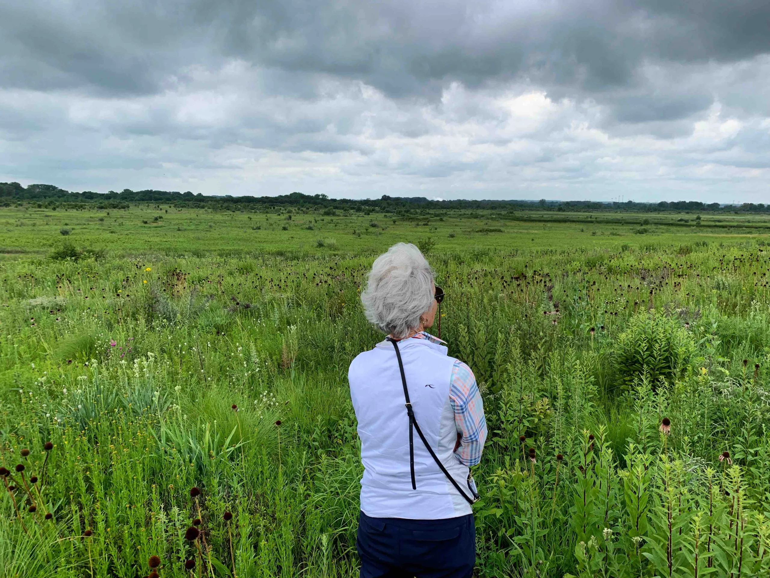 A woman in a white vest stands with her back to the camera as she gazes out over a green prairie with cloudy gray sky.