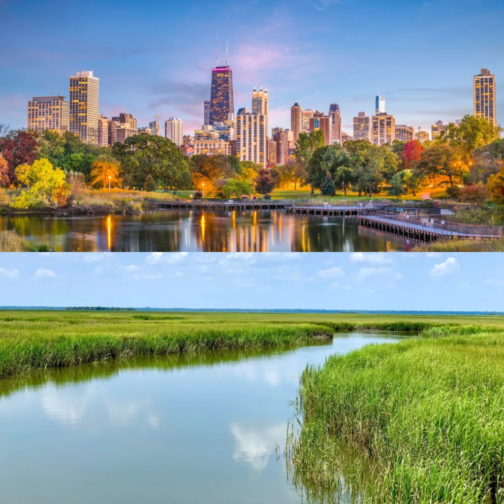 Split image with Chicago skyline on top and a river running through a Lowcountry salt marsh on the bottom